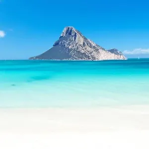 Ulivella , Schifoni Italia